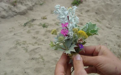 Selbst ist die Frau!