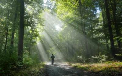 Aufstellungstag: Klarheit in bewegten Zeiten