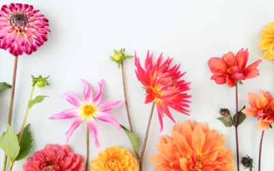 Frau Sein – Wechsel & Wandel